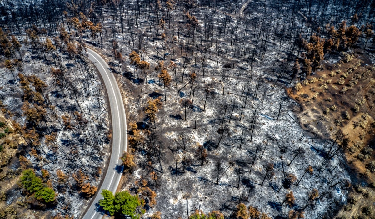 3b5aeeefab120b544aabfe423844c858_XL