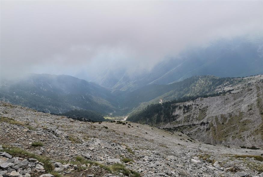 4853037d-92fd-41cd-a0d9-898c946f87fa