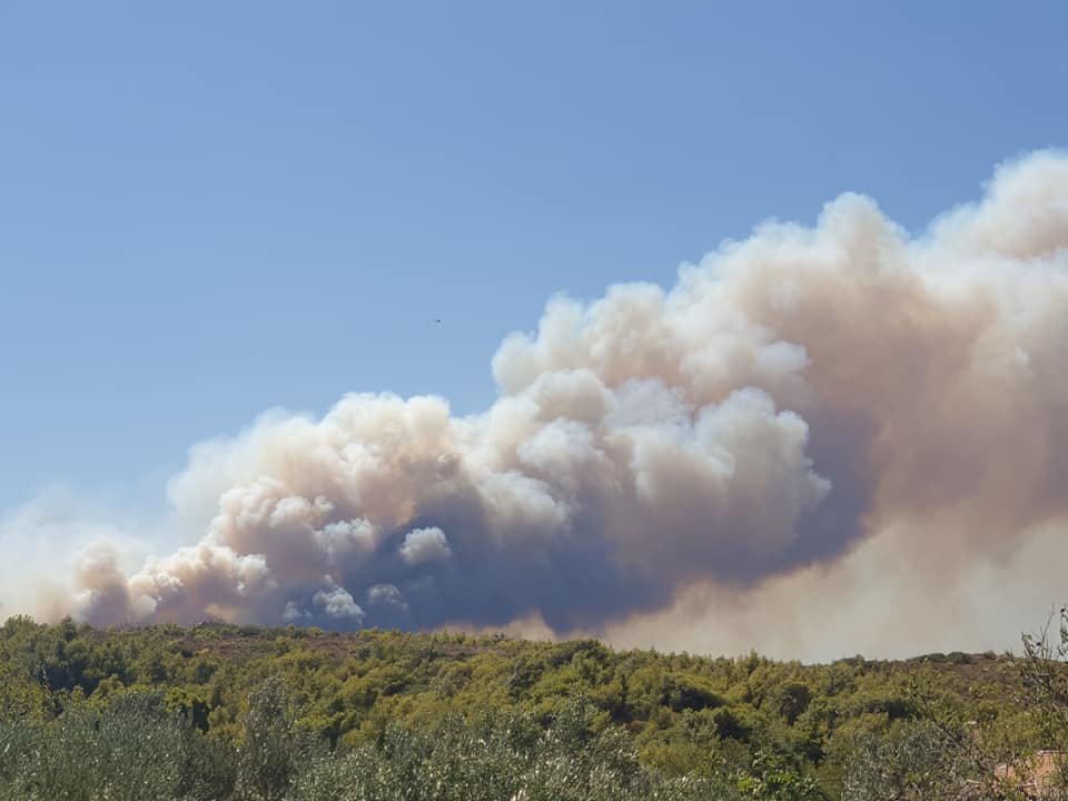 ΦΩΤΙΑ ΚΕΡΑΤΕΑ