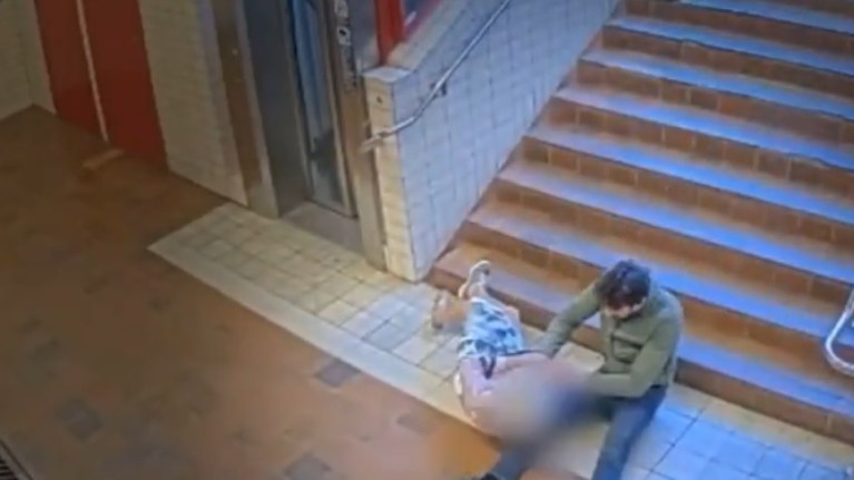91-årig kvinna knuffas ner för trappa av rånaren – klarar sig