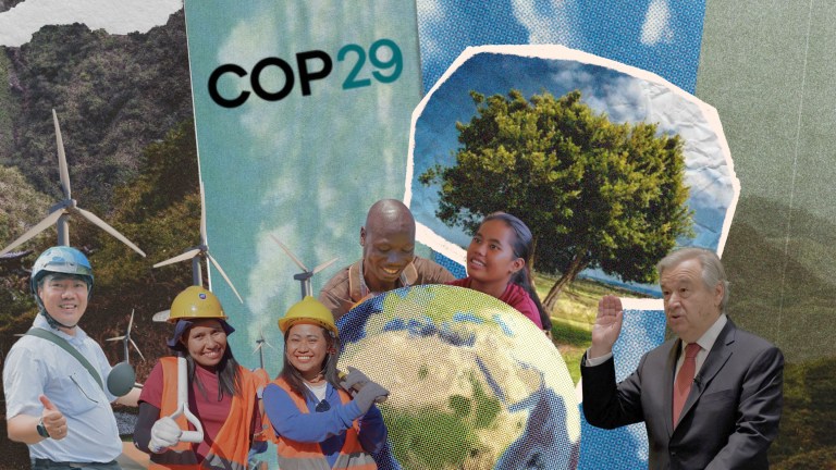 COP29