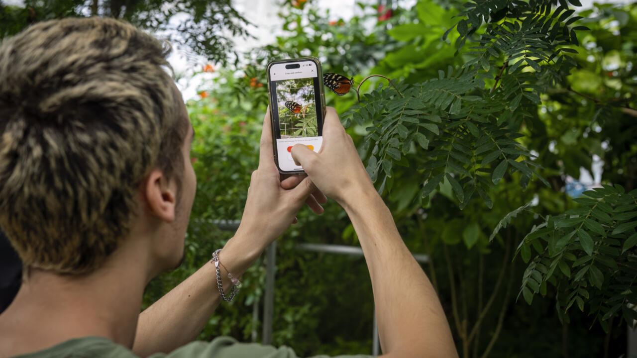 183af559e6377d79abaccd7724e2f4e6c7f8d156