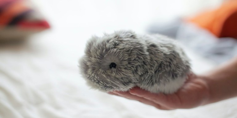 αρχείο λήψης