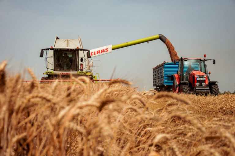 pexels-photo-27037548