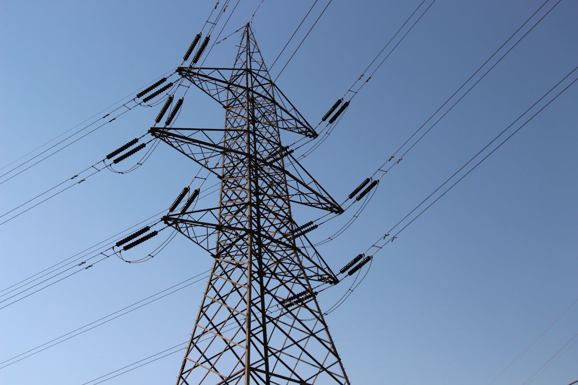 pexels-photo-31691462