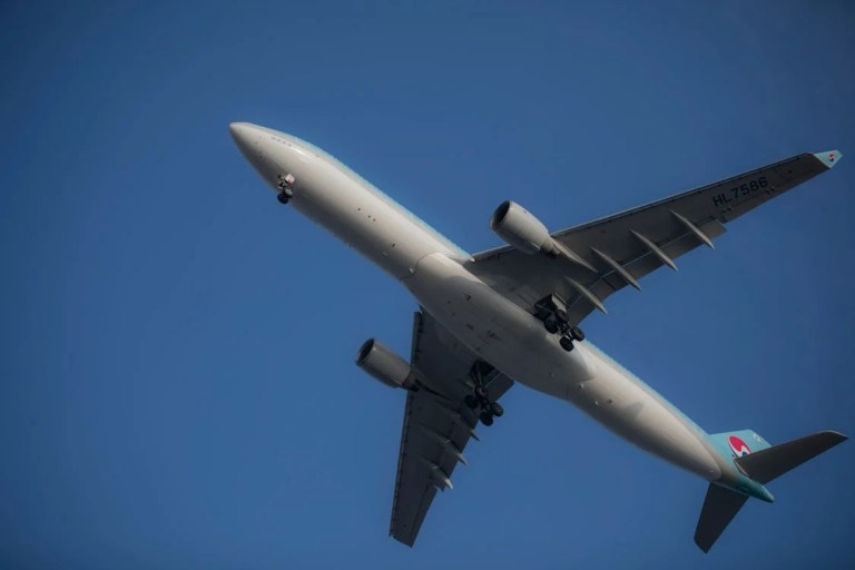 pexels-photo-29506495