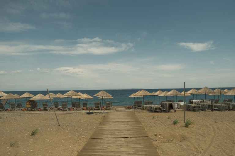 pexels-photo-31968273