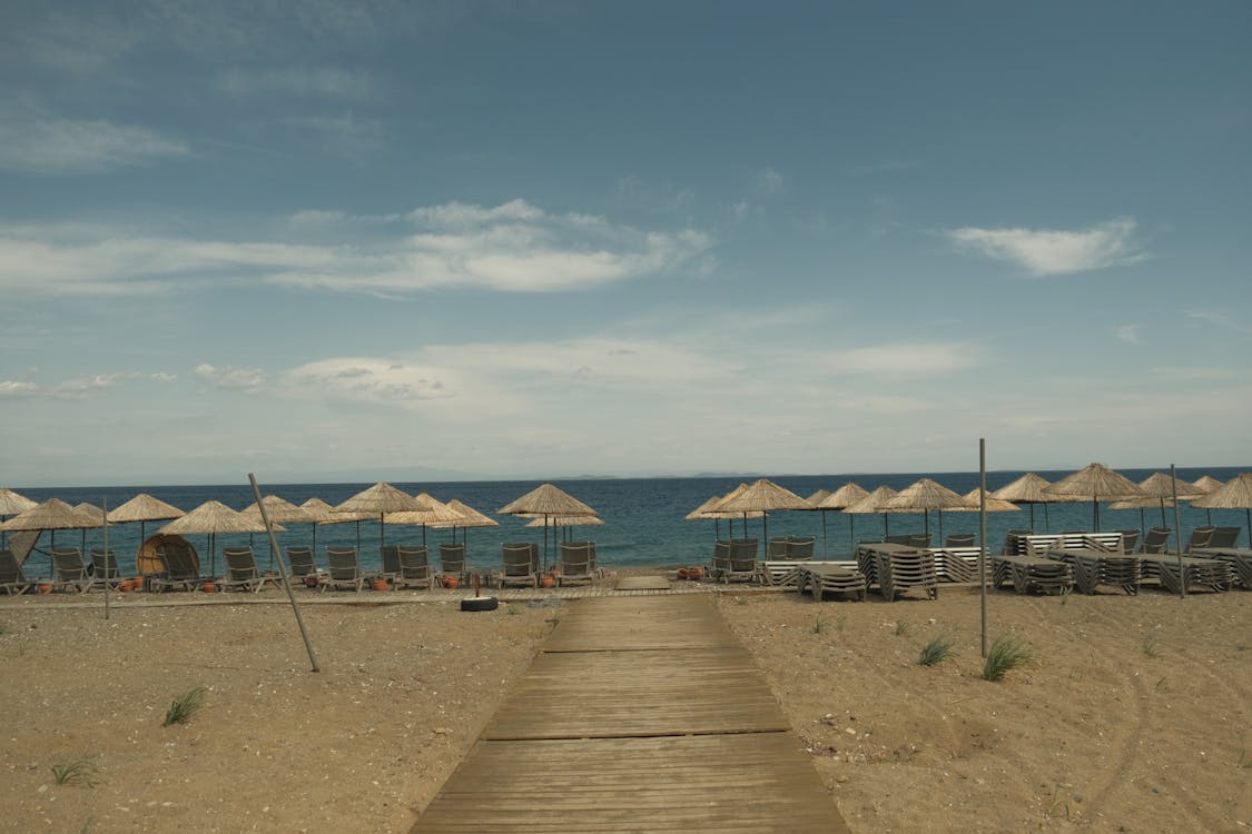 pexels-photo-31968273