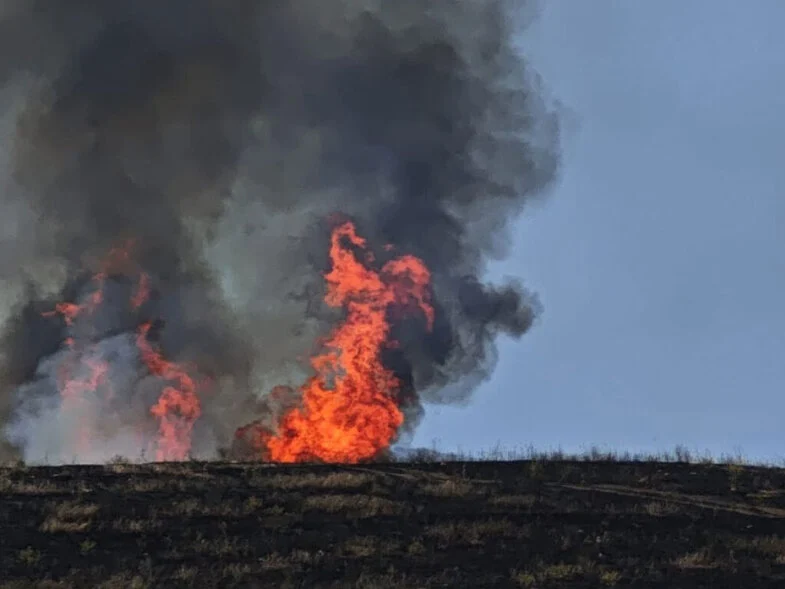 qzrhwfqbze682b47124546b