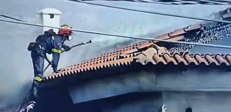 pirosbestis-1024x495