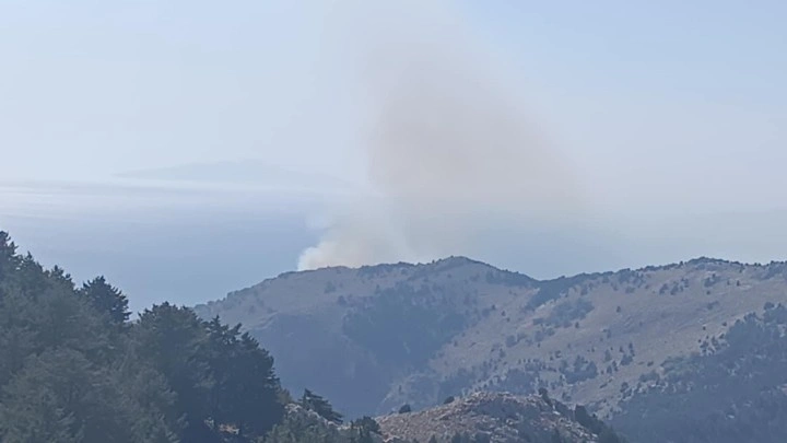 64b50ce9b2e1d0c25b235b80276d15c7-b