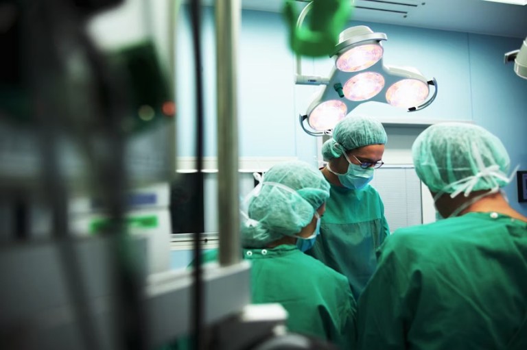 premium_photo-1664303149267-412b13c855d0