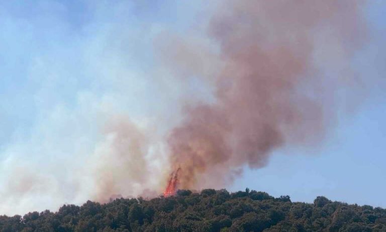 c5028bb3-1758457912518-325425493-fotia-kavala