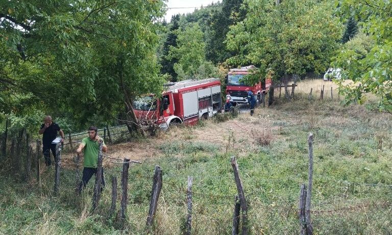 f8cc0f3e-1756904565031-188570519-fotia