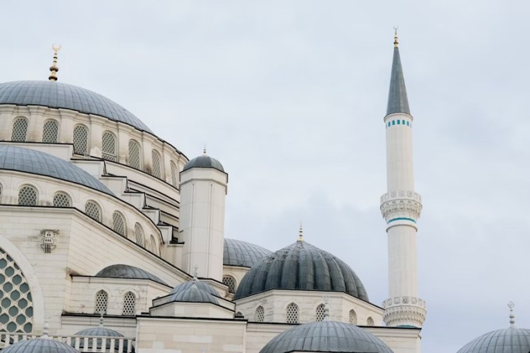 premium_photo-1678373453638-4bf2c8df91bc