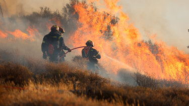 pyrkagia-ierapetra-image16