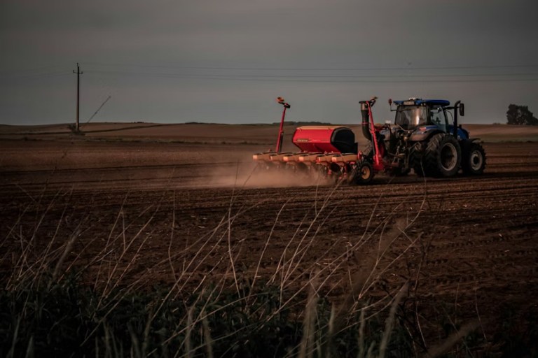 photo-1623869481326-c415e10ece74