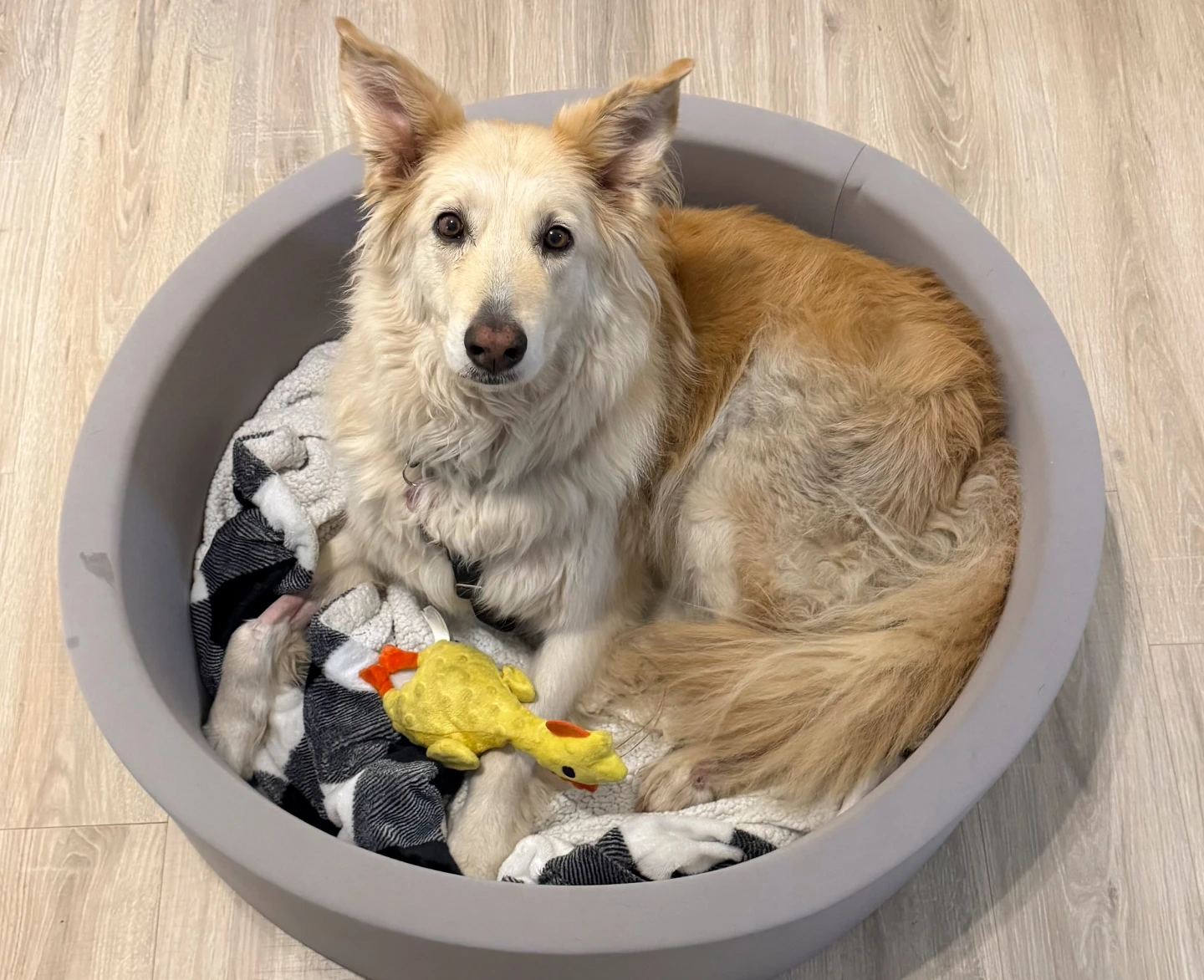 αρχείο λήψης