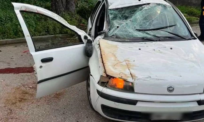 064ca772-loytsa-trohaio