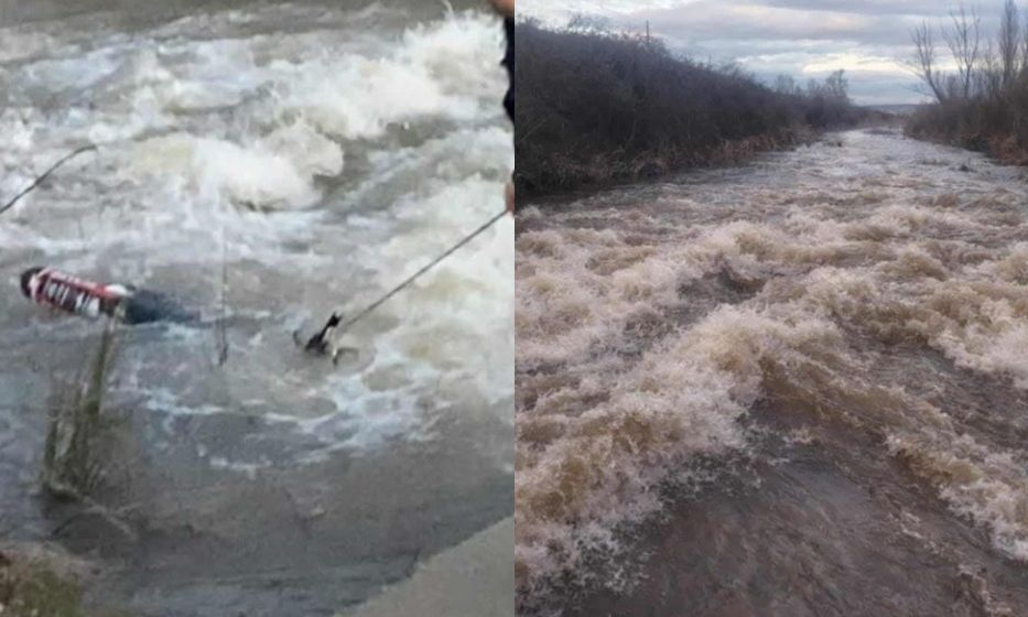 897f741c-ormitika-nera-1