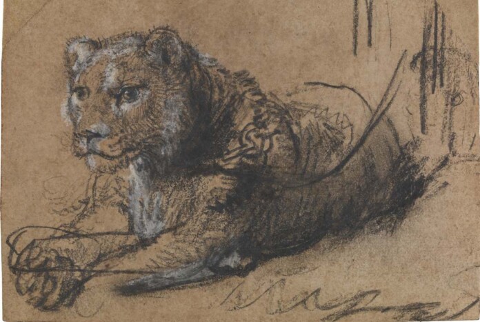 Schatborn-Peter.-Young-Lion-Resting-2017.-In-The-Leiden-Collection-Catalogue-4th-ed.-via-Sothebys-696x467