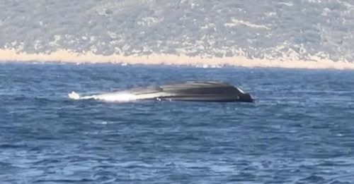 650937371_804407366044385_6041604653386826284_n