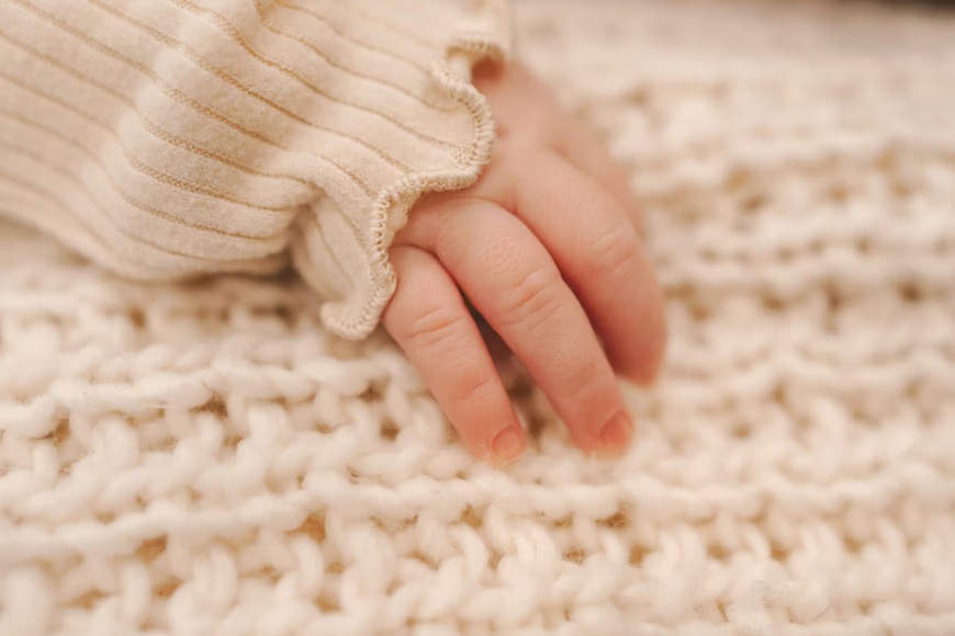 premium_photo-1676049342411-c118fe1570b2