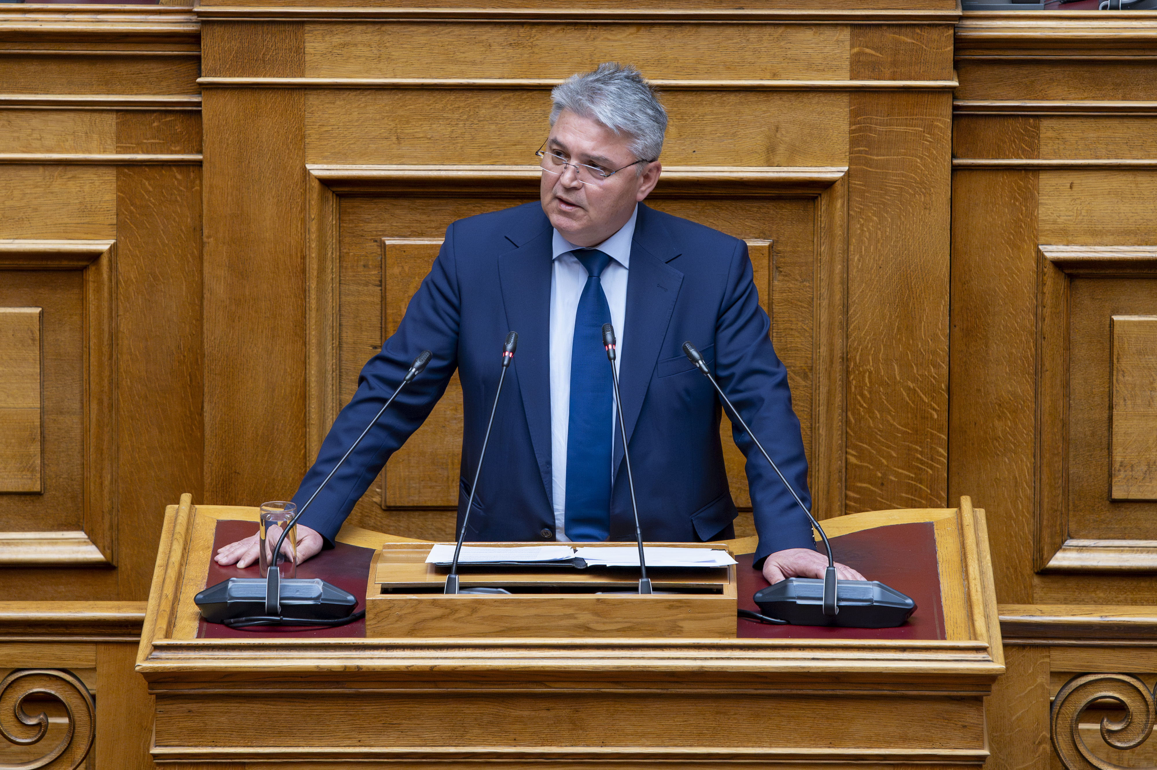 Νατσιος Βουλή_009