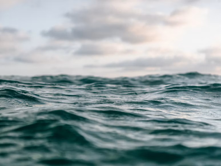 thalassa